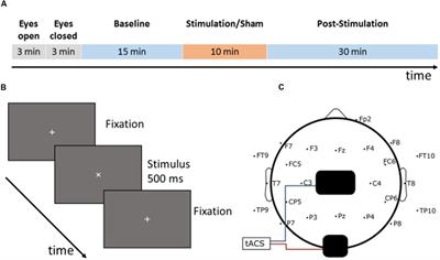 Ten Minutes of α-tACS and Ambient Illumination Independently Modulate EEG α-Power